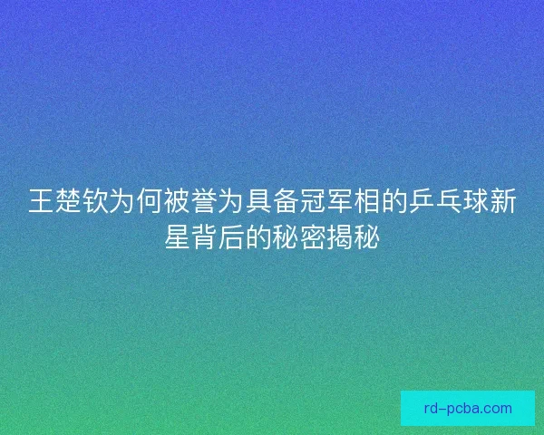 王楚钦为何被誉为具备冠军相的乒乓球新星背后的秘密揭秘 王楚钦为何被誉为具备冠军相的乒乓球新星背后的秘密揭秘